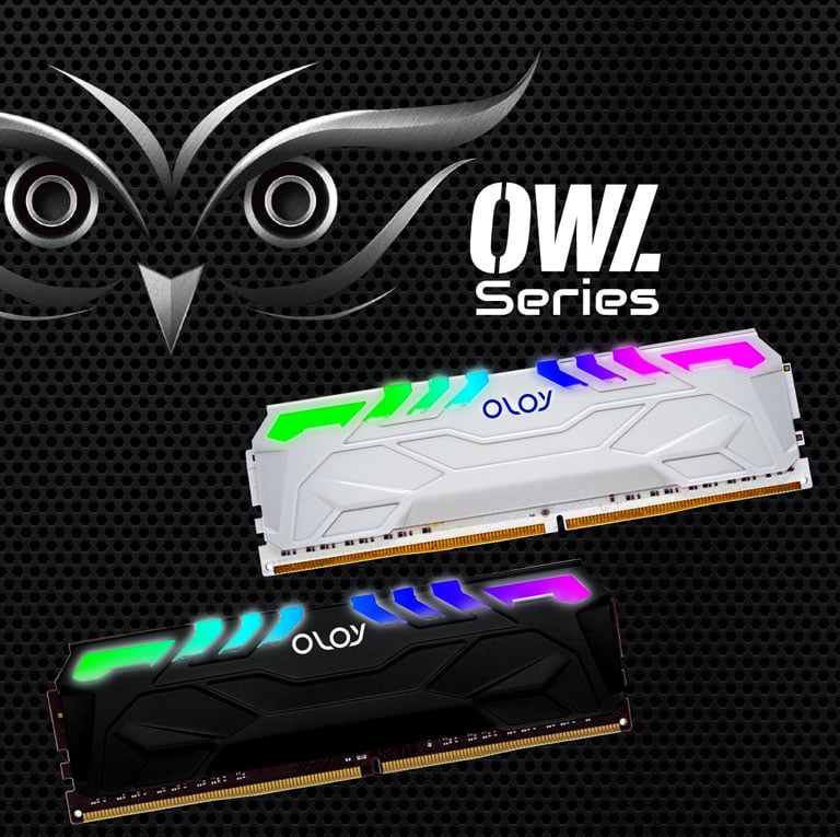 OLOy OWL RGB 32GB (2 x 16GB) 288-Pin PC RAM DDR4 3200 (PC4 25600